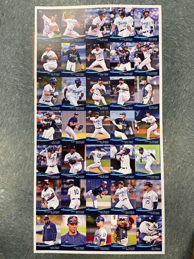 The Asheville Tourists 2022 Team Set